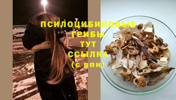 Альфа ПВП Россошь
