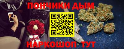 шишки Долгопрудный