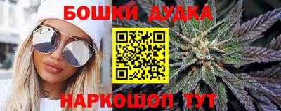 шишки Долгопрудный