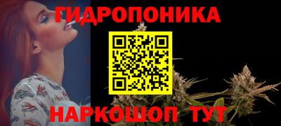 шишки Долгопрудный