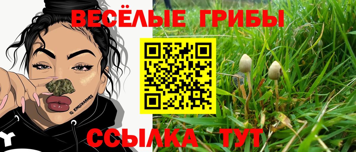 Галлюциногенные грибы Cubensis Красноперекопск