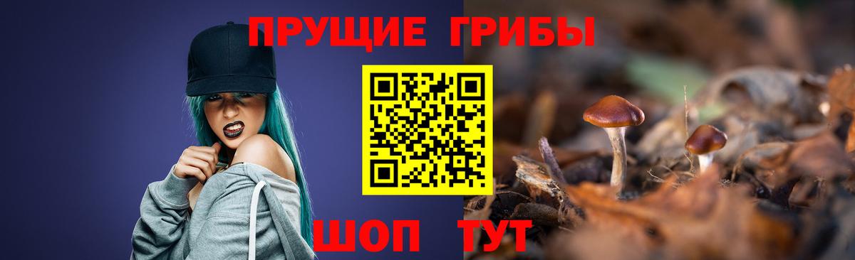 Красноперекопск  Псилоцибиновые грибы GOLDEN TEACHER  даркнет сайт  Вход с VPN 